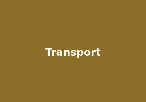 School transport bus